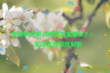 營(yíng)銷如何驅(qū)動(dòng)網(wǎng)站流量增長(zhǎng)？5個(gè)實(shí)戰(zhàn)案例深度解析