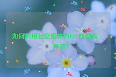 如何利用社交媒體為B2C網站高效導流？