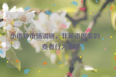 小語種市場(chǎng)調(diào)研，非英語國家的消費(fèi)者行為報(bào)告