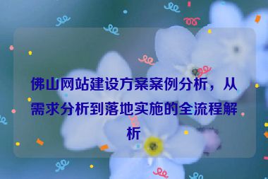 佛山網站建設方案案例分析，從需求分析到落地實施的全流程解析