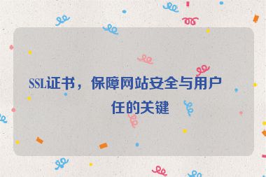 SSL證書(shū)，保障網(wǎng)站安全與用戶信任的關(guān)鍵
