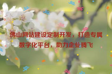佛山網(wǎng)站建設(shè)定制開發(fā)，打造專屬數(shù)字化平臺(tái)，助力企業(yè)騰飛