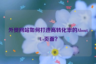 外貿(mào)網(wǎng)站如何打造高轉(zhuǎn)化率的About Us頁面？