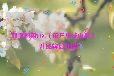 如何利用UGC（用戶生成內(nèi)容）提升品牌信任度？