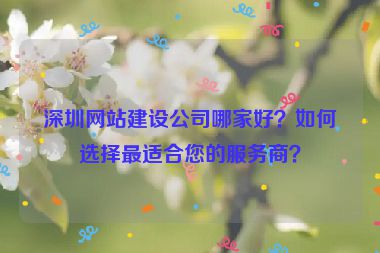 深圳網(wǎng)站建設(shè)公司哪家好？如何選擇最適合您的服務(wù)商？