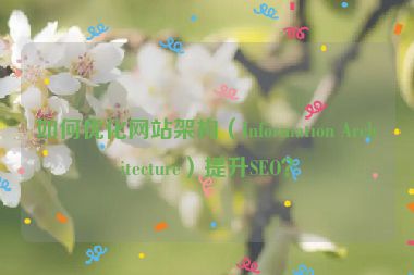 如何優(yōu)化網(wǎng)站架構(gòu)（Information Architecture）提升SEO？