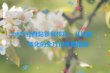 B2B行業(yè)網(wǎng)站獲客技巧，從流量到轉(zhuǎn)化的全方位策略指南