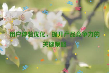 用戶體驗(yàn)優(yōu)化，提升產(chǎn)品競(jìng)爭(zhēng)力的關(guān)鍵策略