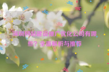深圳網(wǎng)站建設(shè)推廣優(yōu)化公司有哪些？全面解析與推薦