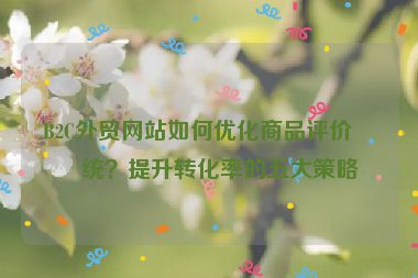 B2C外貿網站如何優(yōu)化商品評價系統(tǒng)？提升轉化率的五大策略