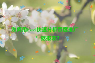 如何用Excel快速分析百度推廣數(shù)據(jù)報(bào)表？