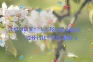 外貿(mào)網(wǎng)站如何優(yōu)化移動端表單填寫？提升轉(zhuǎn)化率的實用技巧