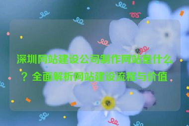深圳網(wǎng)站建設(shè)公司制作網(wǎng)站是什么？全面解析網(wǎng)站建設(shè)流程與價值