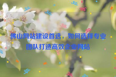 佛山網(wǎng)站建設(shè)首選，如何選擇專(zhuān)業(yè)團(tuán)隊(duì)打造高效企業(yè)網(wǎng)站