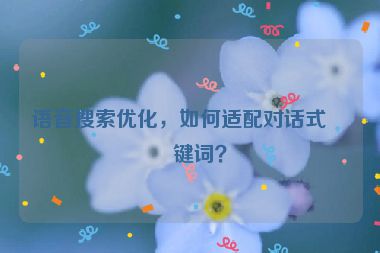 語音搜索優(yōu)化，如何適配對話式關(guān)鍵詞？