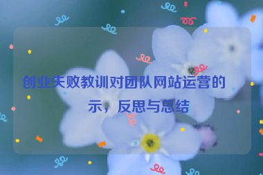 創(chuàng)業(yè)失敗教訓(xùn)對團隊網(wǎng)站運營的啟示，反思與總結(jié)