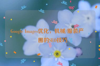 Google Images優(yōu)化，機(jī)械/服裝產(chǎn)品圖的SEO技巧