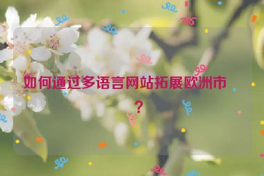 如何通過(guò)多語(yǔ)言網(wǎng)站拓展歐洲市場(chǎng)？