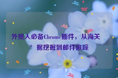 外貿(mào)人必備Chrome插件，從海關(guān)數(shù)據(jù)挖掘到郵件追蹤