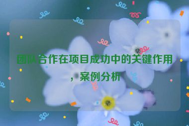 團(tuán)隊(duì)合作在項(xiàng)目成功中的關(guān)鍵作用，案例分析
