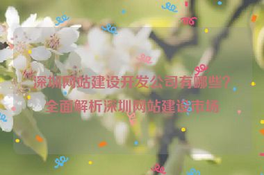 深圳網(wǎng)站建設(shè)開發(fā)公司有哪些？全面解析深圳網(wǎng)站建設(shè)市場(chǎng)