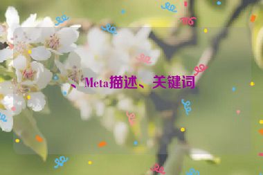 、Meta描述、關(guān)鍵詞