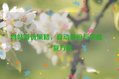 網(wǎng)站備份策略，自動備份與災(zāi)難恢復(fù)方案