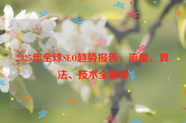 2025年全球SEO趨勢(shì)報(bào)告，流量、算法、技術(shù)全解析