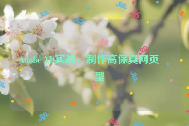Adobe XD實(shí)戰(zhàn)，制作高保真網(wǎng)頁原型