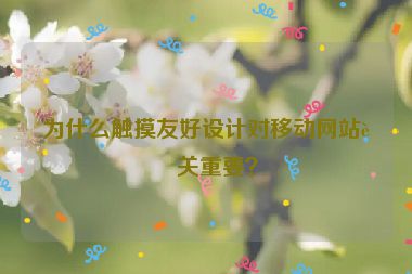 為什么觸摸友好設(shè)計(jì)對(duì)移動(dòng)網(wǎng)站至關(guān)重要？