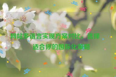 網(wǎng)站多語言實(shí)現(xiàn)方案對比，選擇最適合你的國際化策略