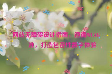 網(wǎng)站無障礙設(shè)計(jì)指南，遵循WCAG標(biāo)準(zhǔn)，打造包容性數(shù)字體驗(yàn)