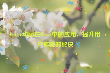 Lottie動畫在React中的應(yīng)用，提升用戶體驗(yàn)的秘訣