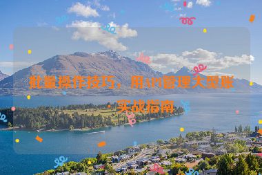 批量操作技巧，用API管理大型賬戶實(shí)戰(zhàn)指南