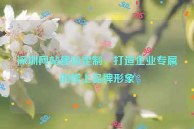 深圳網(wǎng)站建設(shè)定制，打造企業(yè)專屬的線上品牌形象
