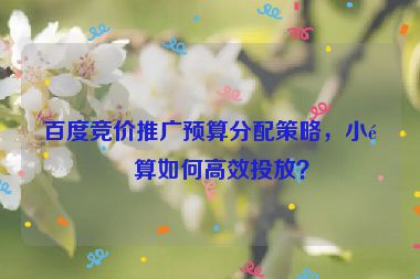 百度競價(jià)推廣預(yù)算分配策略，小預(yù)算如何高效投放？