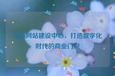 深圳網(wǎng)站建設(shè)中心，打造數(shù)字化時(shí)代的商業(yè)門戶