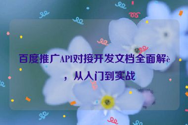 百度推廣API對(duì)接開(kāi)發(fā)文檔全面解讀，從入門(mén)到實(shí)戰(zhàn)