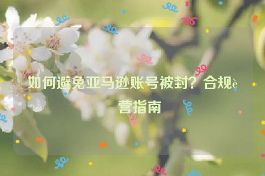 如何避免亞馬遜賬號(hào)被封？合規(guī)運(yùn)營指南
