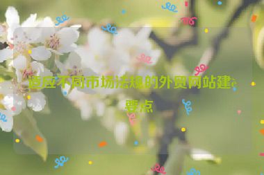 適應(yīng)不同市場法規(guī)的外貿(mào)網(wǎng)站建設(shè)要點(diǎn)