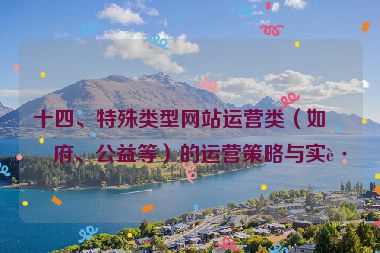 十四、特殊類型網(wǎng)站運營類（如政府、公益等）的運營策略與實踐
