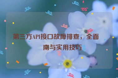 第三方API接口故障排查，全面指南與實用技巧