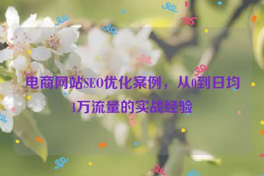 電商網(wǎng)站SEO優(yōu)化案例，從0到日均1萬(wàn)流量的實(shí)戰(zhàn)經(jīng)驗(yàn)