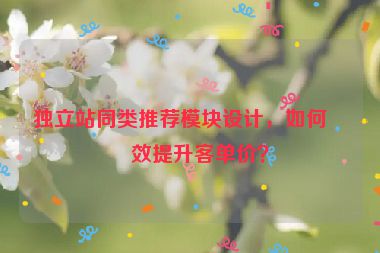 獨(dú)立站同類推薦模塊設(shè)計，如何有效提升客單價？