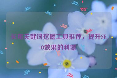 長(zhǎng)尾關(guān)鍵詞挖掘工具推薦，提升SEO效果的利器