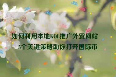 如何利用本地KOL推廣外貿(mào)網(wǎng)站？5個關(guān)鍵策略助你打開國際市場