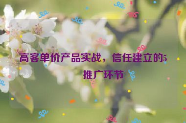 高客單價產(chǎn)品實戰(zhàn)，信任建立的5個推廣環(huán)節(jié)