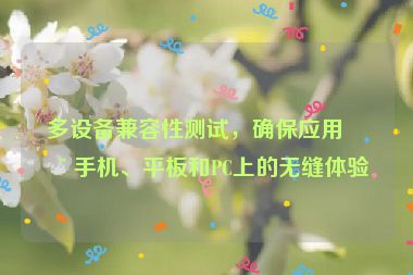多設備兼容性測試，確保應用在手機、平板和PC上的無縫體驗