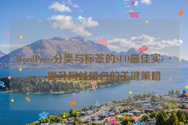 WordPress分類與標(biāo)簽的SEO最佳實(shí)踐，提升網(wǎng)站排名的關(guān)鍵策略