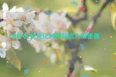 為什么多元化對(duì)網(wǎng)站收入很重要？